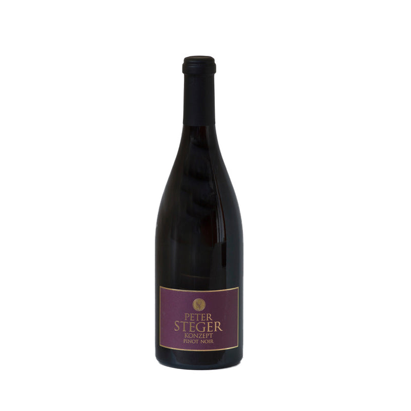 6x Peter Steger Konzept 2015 Pinot Noir, Baden 1,5l